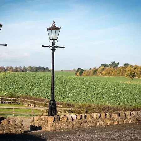 Black A Moor Отель